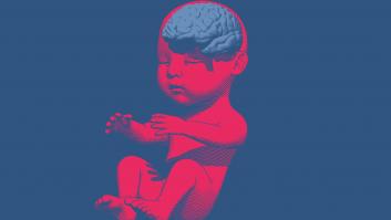 El desafío de fabricar un nuevo cerebro