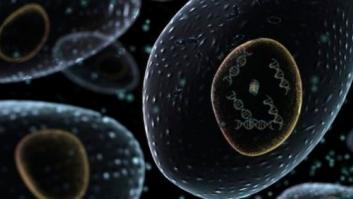 Joan Massagué: "Estamos a dos o tres décadas de dar un vuelco al cáncer"