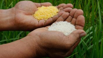 Greenpeace y la carta de los Nobel