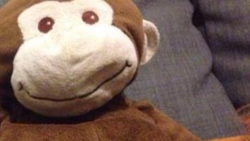 Un niño pierde su peluche en Valladolid y Twitter se vuelca en su búsqueda