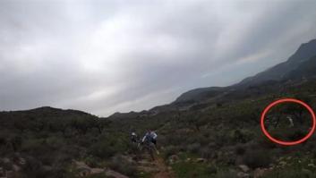 Unos ciclistas graban el dramático momento en que son atacados por un enjambre de abejas