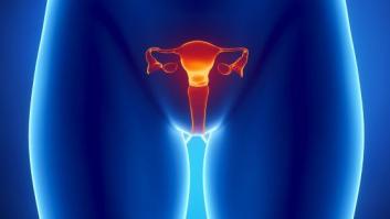 Conoce tu vagina en doce conceptos básicos