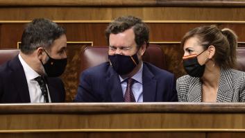 Vox quiere que los partidos se financien sólo por particulares y evitar así al Tribunal de Cuentas