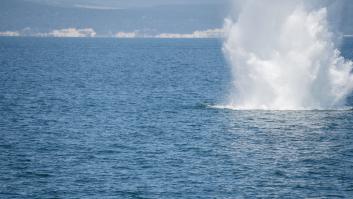 Bulgaria alerta de minas a la deriva en el mar Negro procedentes de Ucrania