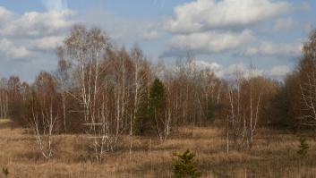 Denuncian que los tanques rusos han levantado polvo radioactivo en el perímetro de Chernóbil