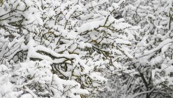 En abril, nieves mil: las imágenes que está dejando Ciril en España