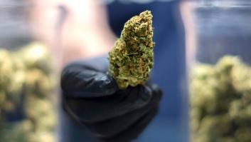 El futuro del cannabis medicinal en España se decide ahora