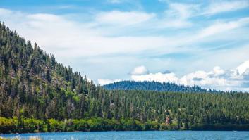 Klamath: el superalimento escondido bajo las aguas que fortalece el sistema inmunológico