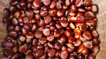 9 alimentos típicos de otoño con los que encarar mejor la marcha del verano