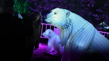 Las redes denuncian la controvertida decisión adoptada por la organización de Árticus