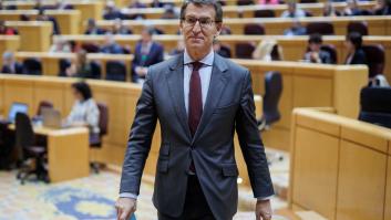 El PP cree que la "democracia ha salido fortalecida" tras paralizar el TC la votación del Senado