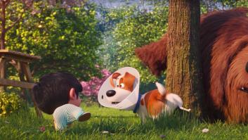 Una niña conquista Twitter con lo que ha enseñado hacer a su pájaro