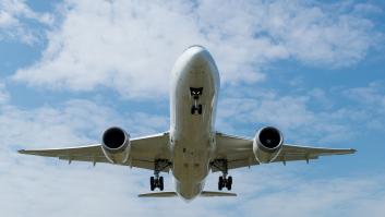 Seguro que lo has oído más de una vez: "No tengo hijos pero tengo perro"