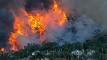 2020 ha sido un desastre para el planeta
