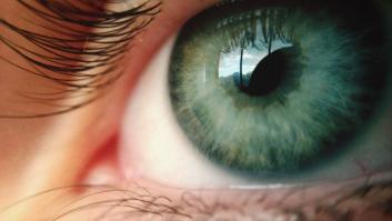 ¿Cuál es tu inteligencia visual? Este test te lo dice