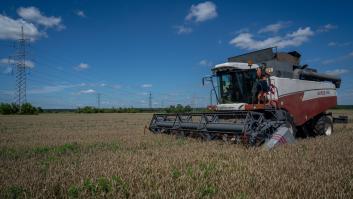 El Razoni, el buque que rompe el bloqueo del grano ucraniano y que lleva la esperanza desde el Mar Negro