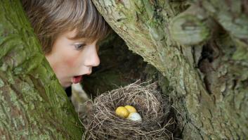 ¿Aprobarías este test de primaria sobre naturaleza y medioambiente?