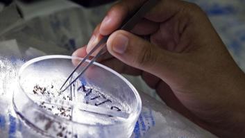 El alcohol podría ser el motivo por el que los mosquitos pican más a unas personas que a otras, según un estudio