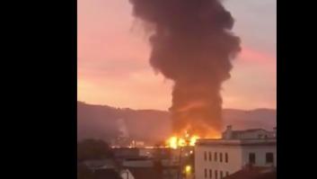 Emergencia ambiental en el río Besòs: numerosos peces muertos tras el incendio en una planta de reciclaje