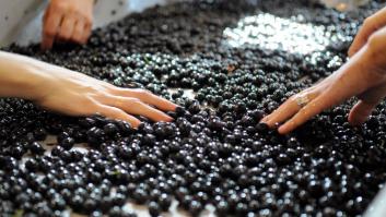 Una hedonista garnacha aragonesa de Oscar