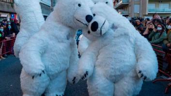 El oso de la cabalgata de Cádiz reaparece, pero no como podrías imaginarte