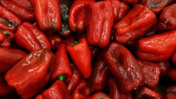 Almería empieza a arrancar sus plantas de pimientos y piensa en la sandía