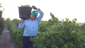 Datos: Andalucía alcanza la primera posición de los territorios con más fijos discontinuos