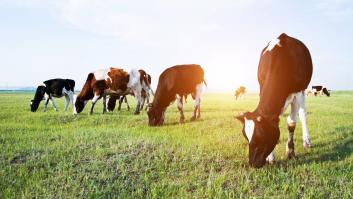 ¿Por qué la leche ecológica marca la diferencia?
