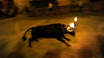 Pánico a una muerte ridícula