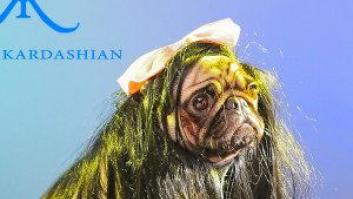 Famosos en versión perro en el nuevo vídeo de DJ Larry Tee