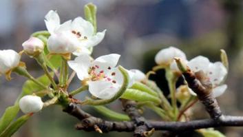 Cuidar el cuerpo no es suficiente para estar sano