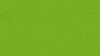 ¿Te gusta el color Pantone de 2017?