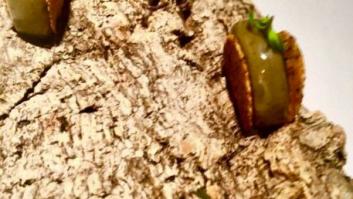 Atrio, el tesoro de Cáceres