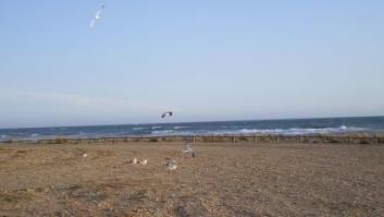 La pareja gay agredida al grito de "ni un paso más maricón" en Almería, imputada por exhibicionismo