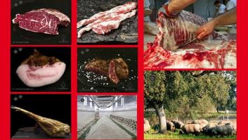 El cerdo ibérico puro es un tesoro