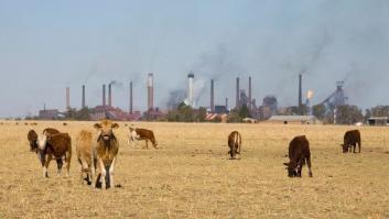 El tiempo vuela, es hora de alcanzar un acuerdo climático en 2015