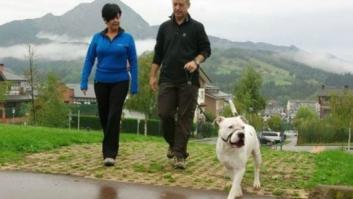 Un ertzaina dispara ocho tiros al pitbull de Urkullu por un ataque de pánico