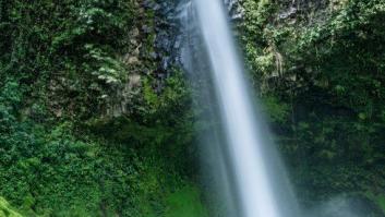 Este es el lugar más verde del planeta
