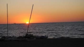 Plancton marino, vino y un café