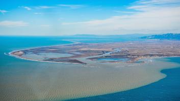 SOS: crisis en los humedales españoles