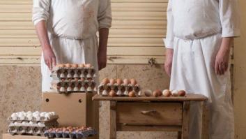 Higinio Gómez, armando el pollo