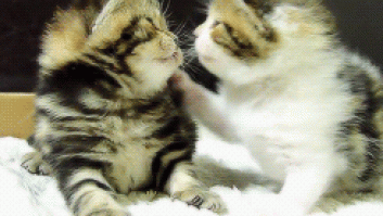 15 beneficios de dar y recibir besos (GIFS)