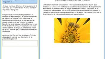 Preguntas Pisa 2015: ¿Y tú? ¿Aprobarías el examen de ciencias?