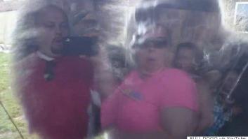 Un gorila rompe un cristal y asusta a los visitantes de un zoo