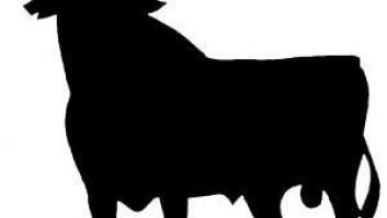 Día Mundial del Diseño Gráfico: un paseo por los mejores logos de la historia de España