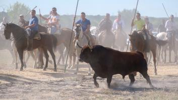 Isabel Rodríguez, sobre el Toro de la Vega: "Hagamos compatible el respeto al animal con las tradiciones"