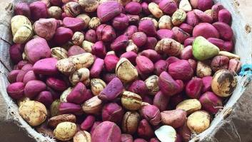 La Coca-Cola procede de un tipo de nuez: la kola