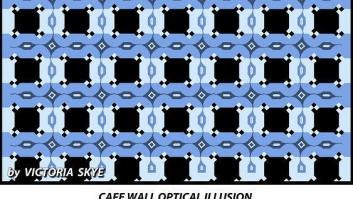 ¿Qué dirección siguen estas barras?