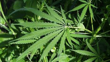 10 motivos por los que no es 'cool' fumar marihuana