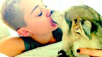 Cristo, Lucifer y la médium de mascotas